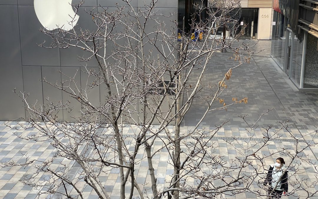 Apple temporarily shuts stores worldwide to fight virus