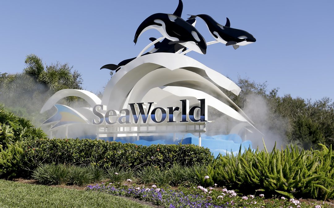 SeaWorld CEO resigns five months into job, cites board