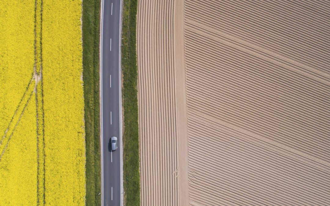 EU wants to reduce pesticides use, promotes organic farming