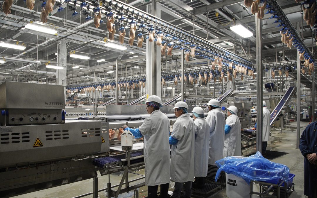 Industrial production plunges unprecedented 11.2% in April