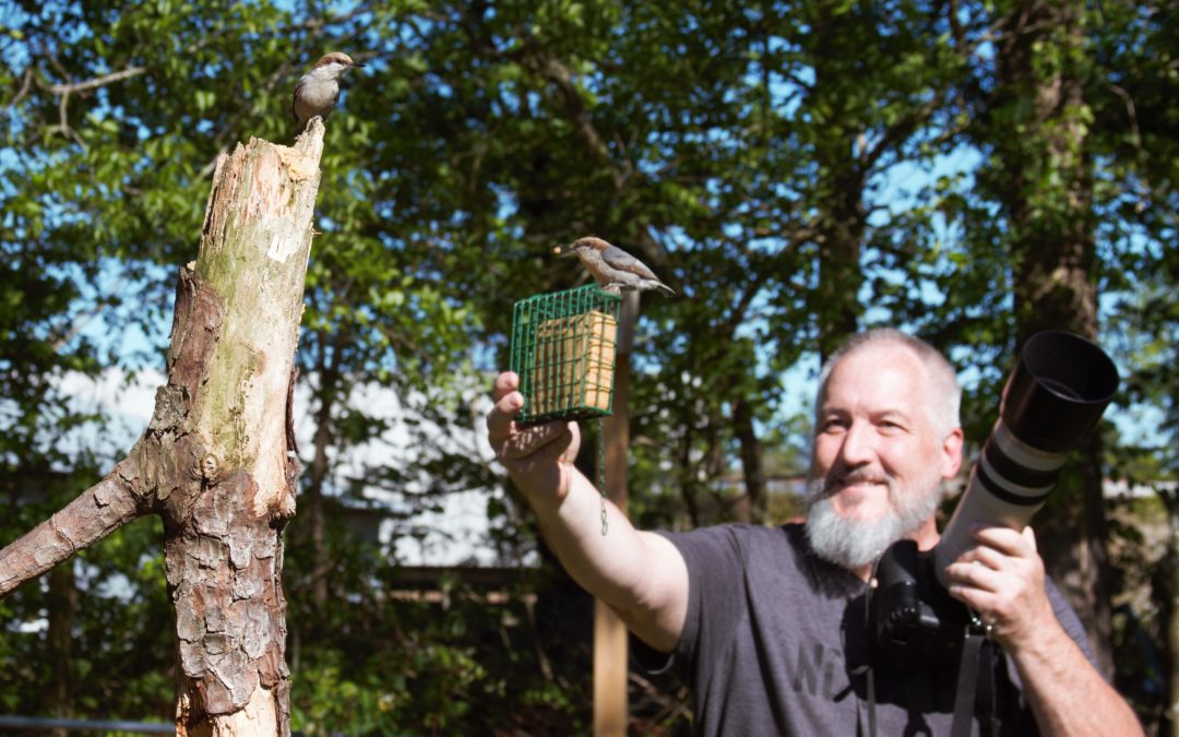 Bird-watching soars amid COVID-19 as Americans head outdoors