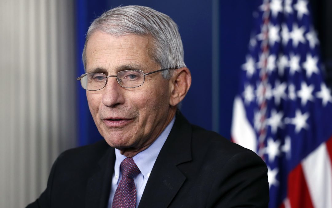 Fauci warns of ‘suffering and death’ if US reopens too soon
