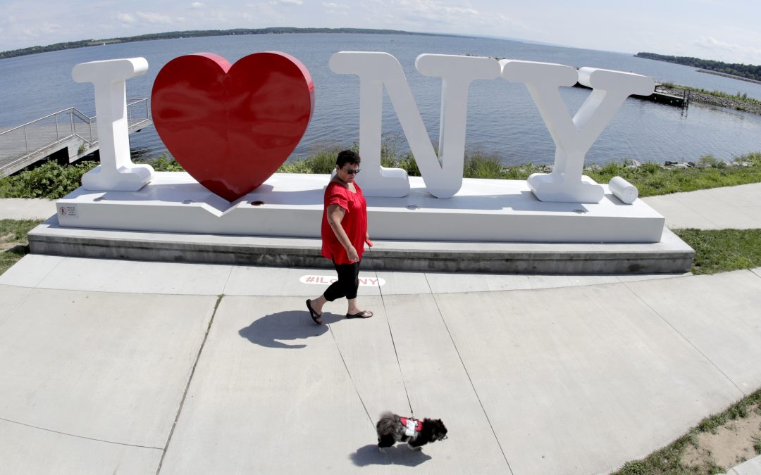 Beginning to bloom: New York creaking back to economic life