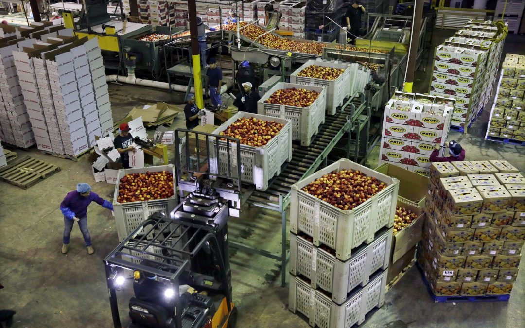 US wholesale prices rise 0.4% in May led by food and energy