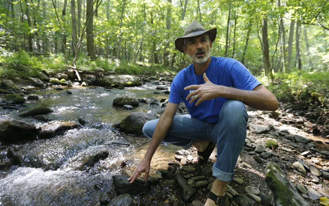 Opponents: Pipeline’s defeat ‘a testament to perseverance’